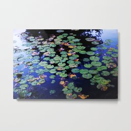 paramecium pond Metal Print | Photo, Landscape, Nature 