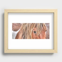 Shaggy Island Pony Recessed Framed Print