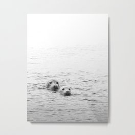 Swimming seals | Sea | Wildlife and nature photography in black and white Metal Print | Photo, Coastal, Blackandwhite, Beach, Black And White, Sea, Nature, Seal, Digital, Monochrome 
