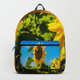 Here Comes the Sun - Giant Sunflower on Sunny Day in Kansas Backpack | Photo, Sun, Sunflower, Prints, Nature, Digital, Plants, Floral, Flower, Positive 