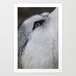 Husky eye Art Print