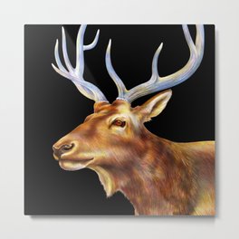 Elk Metal Print | Elks, Coloredpencil, Drawing, Nature, Illustration, Animal, Wildlife, Antlers, Elk, Deer 
