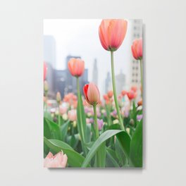 Tulip Town Metal Print | Floral, Spring, Photo, Giftforher, Color, Chicagotulips, Flowerphotography, Dreamy, Chicagophotography, Digital 