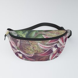 Paphinia Lindeniana Vintage Wine Orchids In A Log Fanny Pack