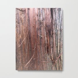 Silver Fir Tree Trunk Abies Alba Metal Print | Texture, Tree, Abstract, Leaves, Redbrown, Woods, Naturepictures, Woodgrain, Trunk, Nature 