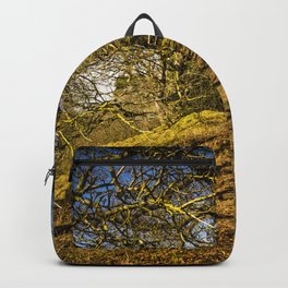 Autumnal Walks Backpack | Autumnal, Tree, Seat, Pathway, Woodland, Wood, Landscape, Photo, Trees, Bench 