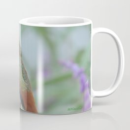 Allen's Hummingbird Sentinel Coffee Mug | Green, Tan, Mexicansage, Photo, Digital, Rust, Lavendar, Violet, Purple, California 