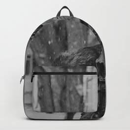 The Girl and the Big Bad Wolf black and white photograph Backpack