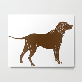 Chocolate Lab Metal Print | Canine, Retriever, Lindo, Graphicdesign, Chocolate, Labradorretriever, Dog, Perro, Doggie, Lab 