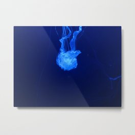 Jellyfish 3 Metal Print | Animal, Photo 