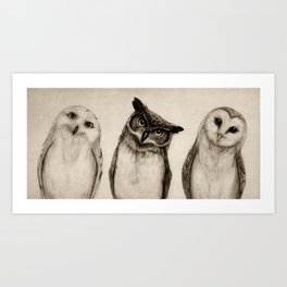 The Owl's 3 Art Print | Animal, Curated, Drawing, Ink Pen, Illustration, Owl, Graphite, Nature, Owls 