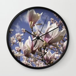 Magnolia Blossoms Shiver Against A Chill Wind Wall Clock | Farmcountry, Spring, Countryside, Millbrook, Color, Ontario, Botanical, Farmlife, Bluesky, Peterborough 