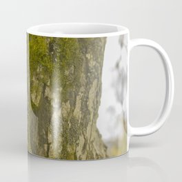 Mossy Tree with Lens Flare Coffee Mug | Moss, Sunnyday, Mossytree, Tree, Sunflare, Landscape, Naturephotography, Photo, Trees, Nature 