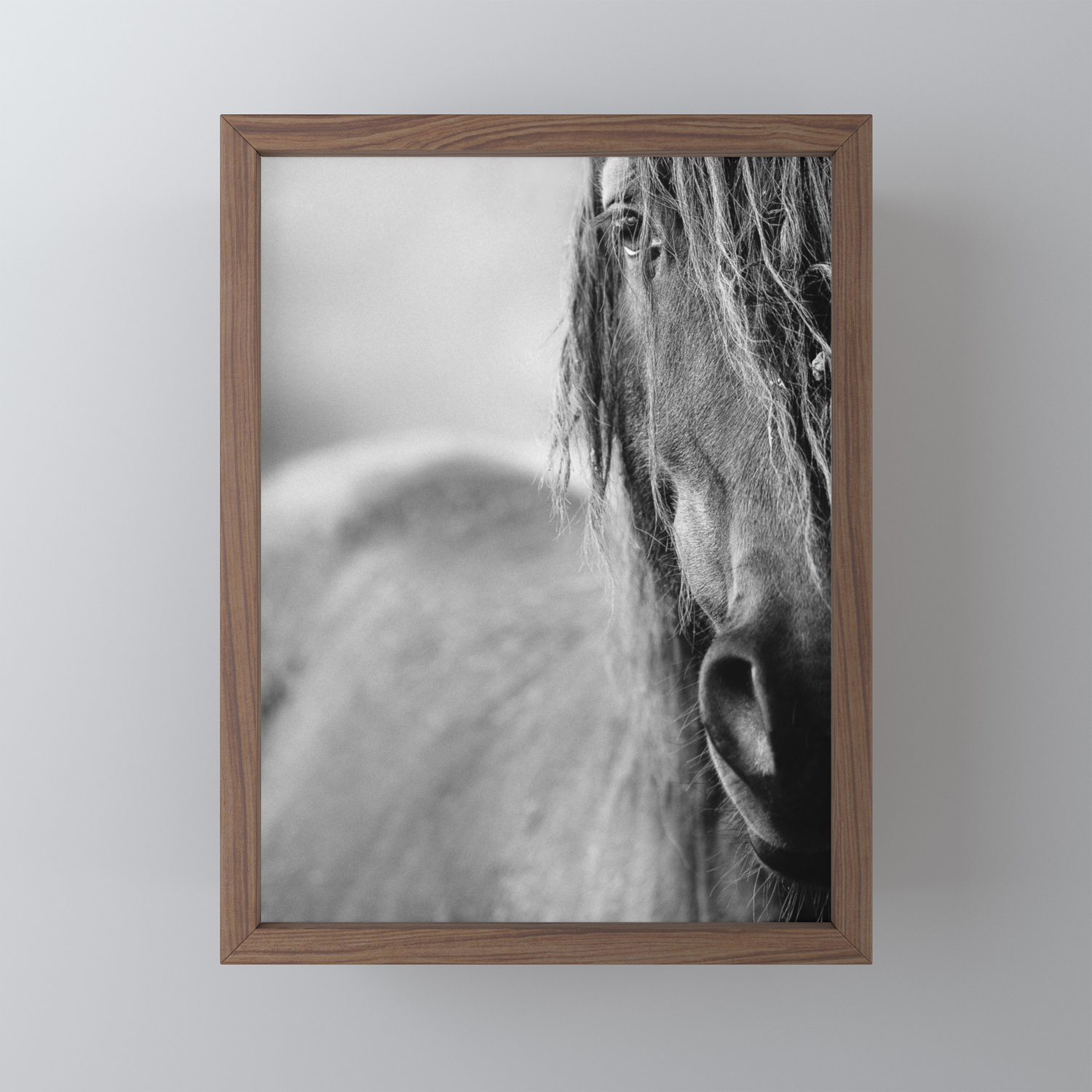 Horse Framed Mini Art Print By Tomashudolin Society6
