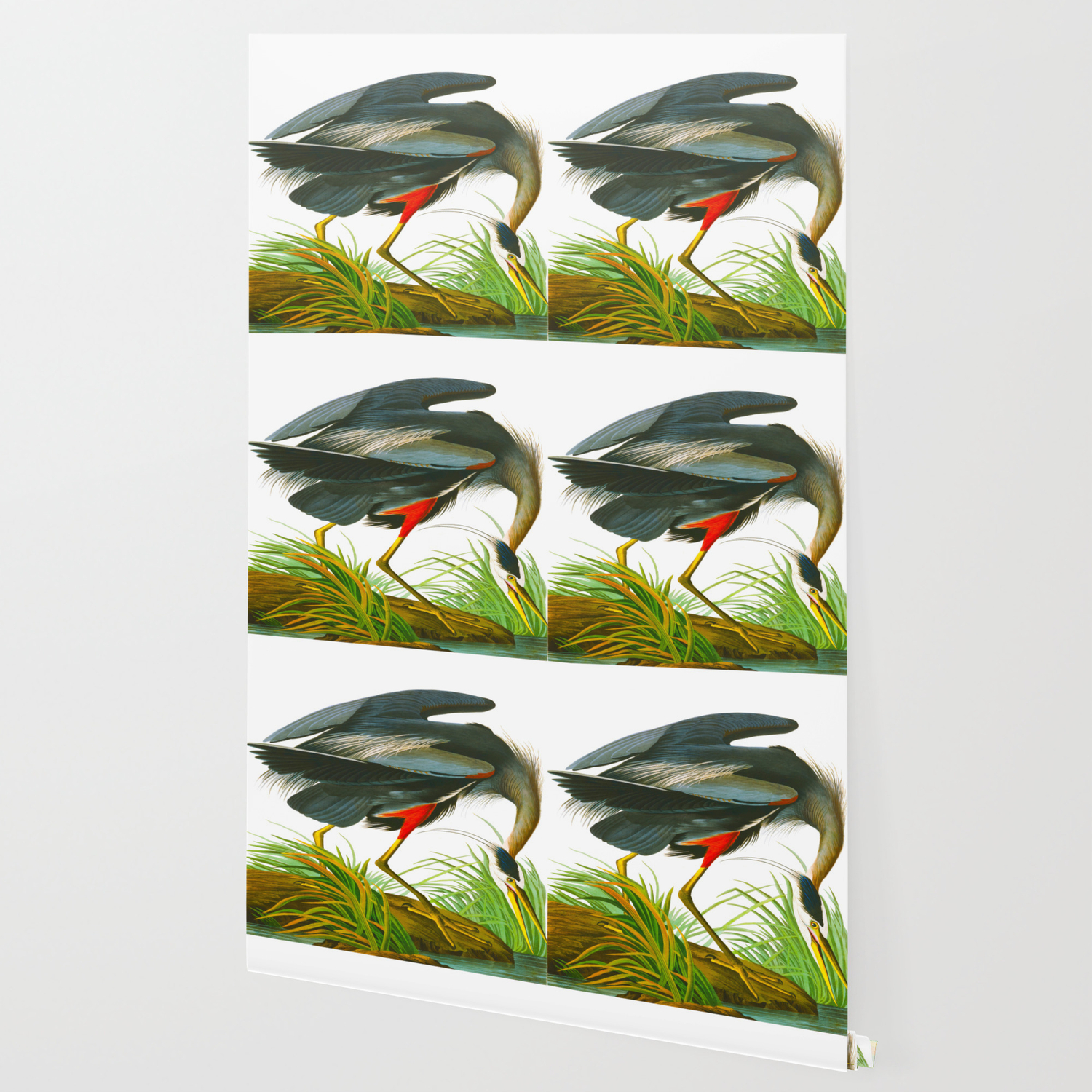 great blue heron john james audubon vintage scientific bird illustration wallpaper by wingsoftheworld