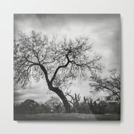 The creepy tree in the graveyard Metal Print | Dark, Photo, Moody, Monochrome, Creepy, Blackandwhite, Tree, Eastaustin, Graveyard, Scary 