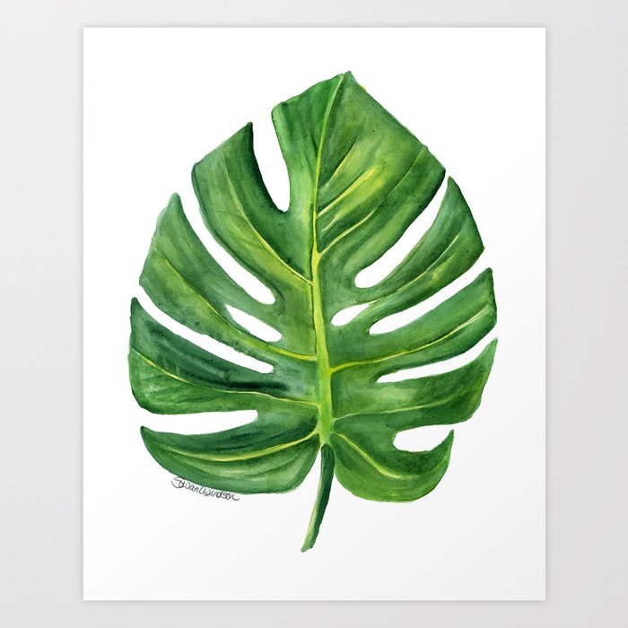 Wallpaper Monstera Leaf Watercolor Painting Art Print By Susanwindsor Society6 HD