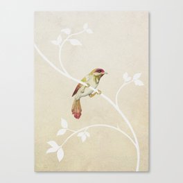bird n° 4 Canvas Print