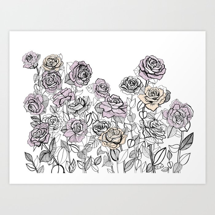 Rose Bush Drawing Graphic Design Art Print By Bluehazestudio