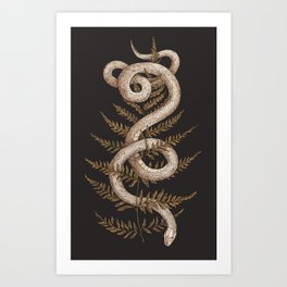 The Snake and Fern Art Print | Fern, Greenery, Digital, Albino, Drawing, Scientific, Ferns, Leaves, Nature, Snakes 
