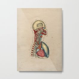 Human Heart Nerves Anatomy 1841 Print Metal Print | Vintage 
