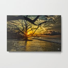 Daybreak at Botany Bay Metal Print | Color, Sunrise, Dead, Ocean, Waves, Southcarolina, Island, Sunset, Wood, Sunlight 