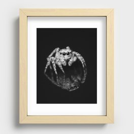 Spider Reflection Recessed Framed Print