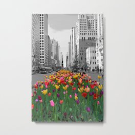 Spring Metal Print | Color, Colorsplash, Michiganavenue, Tulips, Spring, Chicago, Photo 