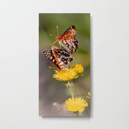 Butterfly Acrobats Metal Print | Yellow, Digital Manipulation, Animal, Flowers, Butterfly, Orange, Hiking, Nature, Color, Playful 