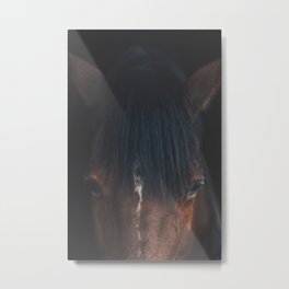 Wild Horse - Equine - Brown Horses photography Metal Print | Staywild, Equinephotography, Equine, Horseportrait, Horse Portrait, Abstracthorse, Artprint, Brown, Brownhorse, Wallart 