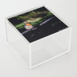 Monarch Acrylic Box