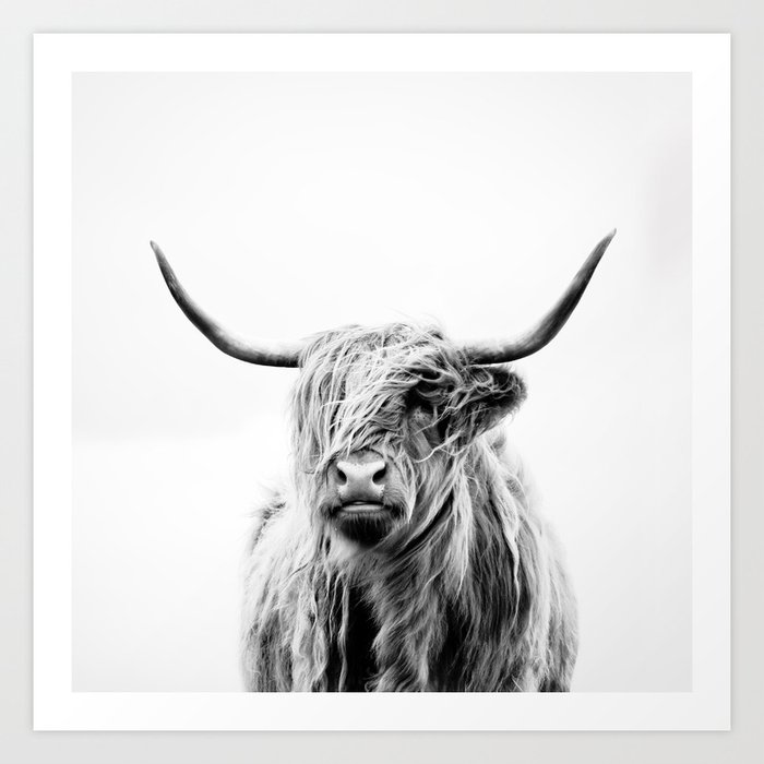 Highland Cow Portrait on Framed Canvas Photo Print Black and White Wall Hanging
