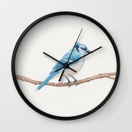 Blue Jay Wall Clock