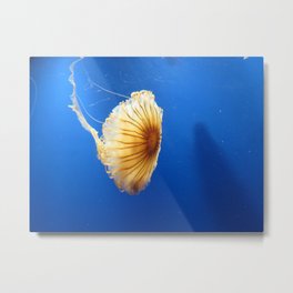 Jellyfish 2 Metal Print | Animal, Photo 