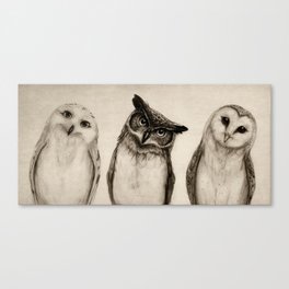 The Owl's 3 Canvas Print