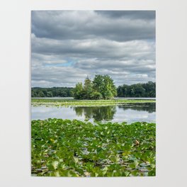 reflections in the lake in Kensington park Poster