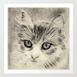 A Realistic Cat Art Print