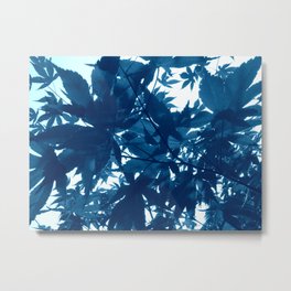 Foliage Blue Metal Print | Foliageblue, Other, Color, Blue, Photo, Digital, Leaves, Mapleleaves, Shadows, Acerleaves 