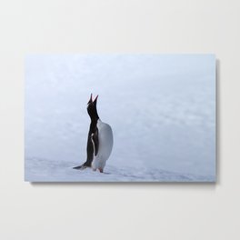 Gentoo penguin Metal Print | Snow, Ice, Gentoopenguin, Pinguin, Photo, Cold, Calling, Digital, Wildlife, Bird 