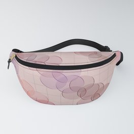 Two-Dimensional Fanny Pack