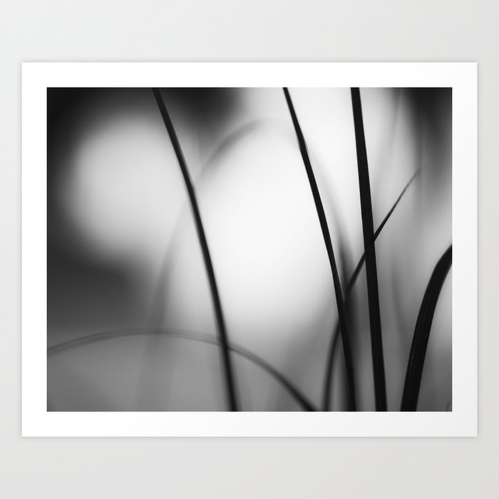 Black And White Abstract Nature Photography Dark Grey Modern