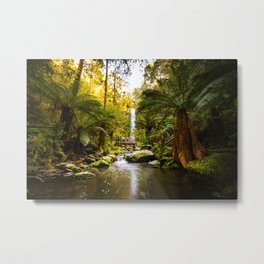 Waterfall Metal Print | People, Landscape, Waterfall, Longexposure, Rainforest, Nature, Digital, Color, Australia, Photo 