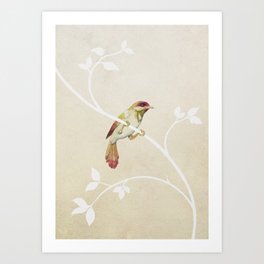 bird n° 4 Art Print