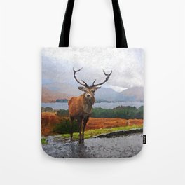 Rannoch, Scotland Tote Bag