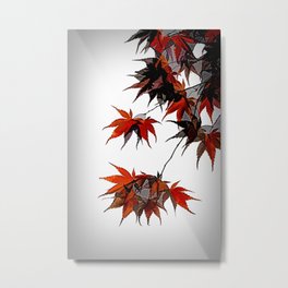 Acer Tree Leaves Metal Print | Red, Graphic, Fallcolours, Acerleaves, Lineandink, Black, Effects, Photo, Graphiceffect, Autumncolours 