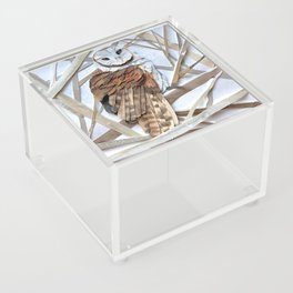 Barn Owl Winter Acrylic Box