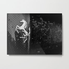 Wet Stallion Metal Print | Black and White, Photo 