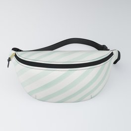 Diagonal Painted Stripe in Mint Green Fanny Pack