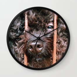 Where's My Master Wall Clock | Animal, Photo 