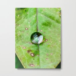 One Drop Metal Print | Color, Leaves, Drip, Reflection, Water, Rain, Leaf, Nature, Dew, Photo 